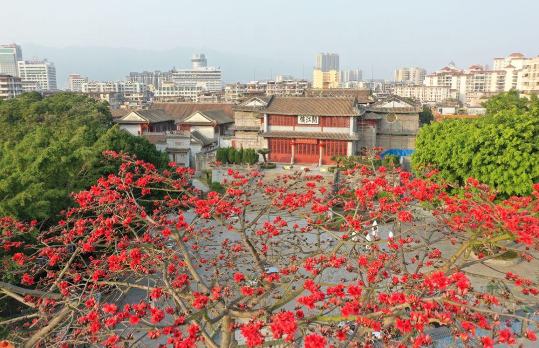 最新英雄地图揭秘，荣耀战场的未知探险