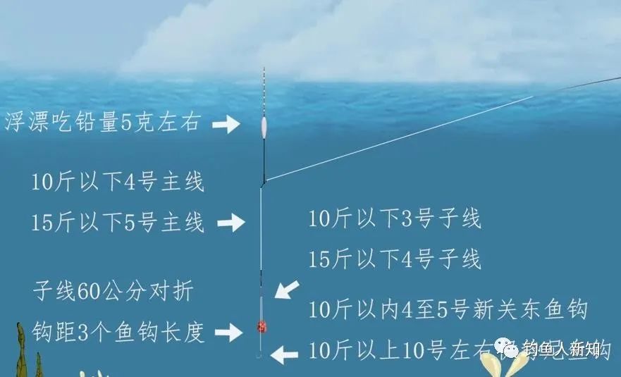 现代垂钓奥秘探索，最新钓定技巧与实践分享