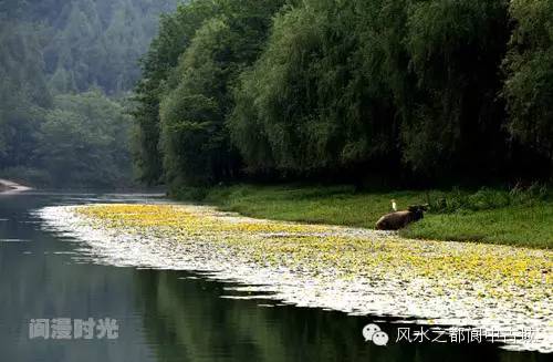 最新的河，重塑与再生